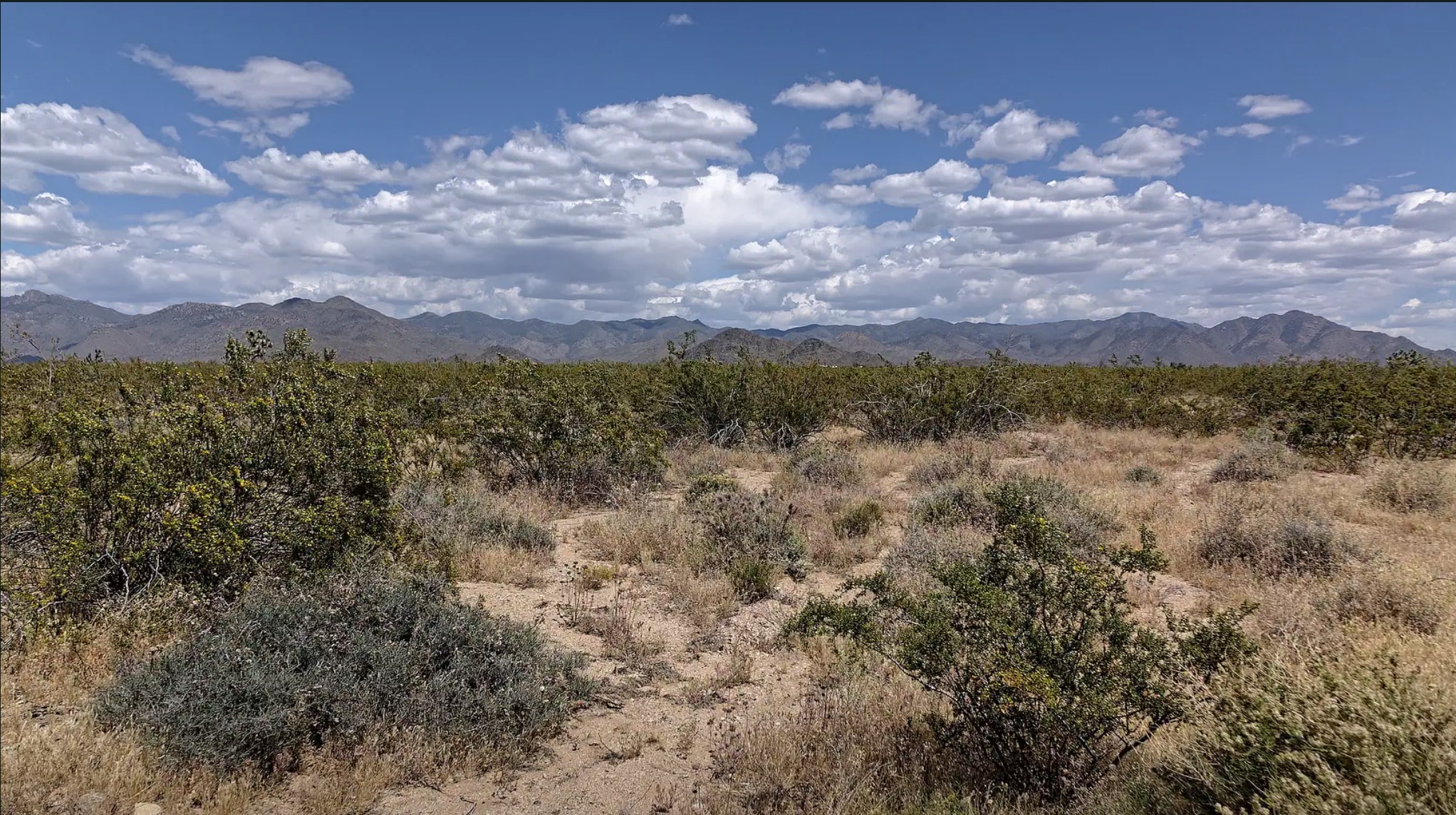 9.11 Acres, Mohave County AZ, Parcel 201-06-049 9.11 Acres, Mohave, Arizona 201-06-049 - Image 2