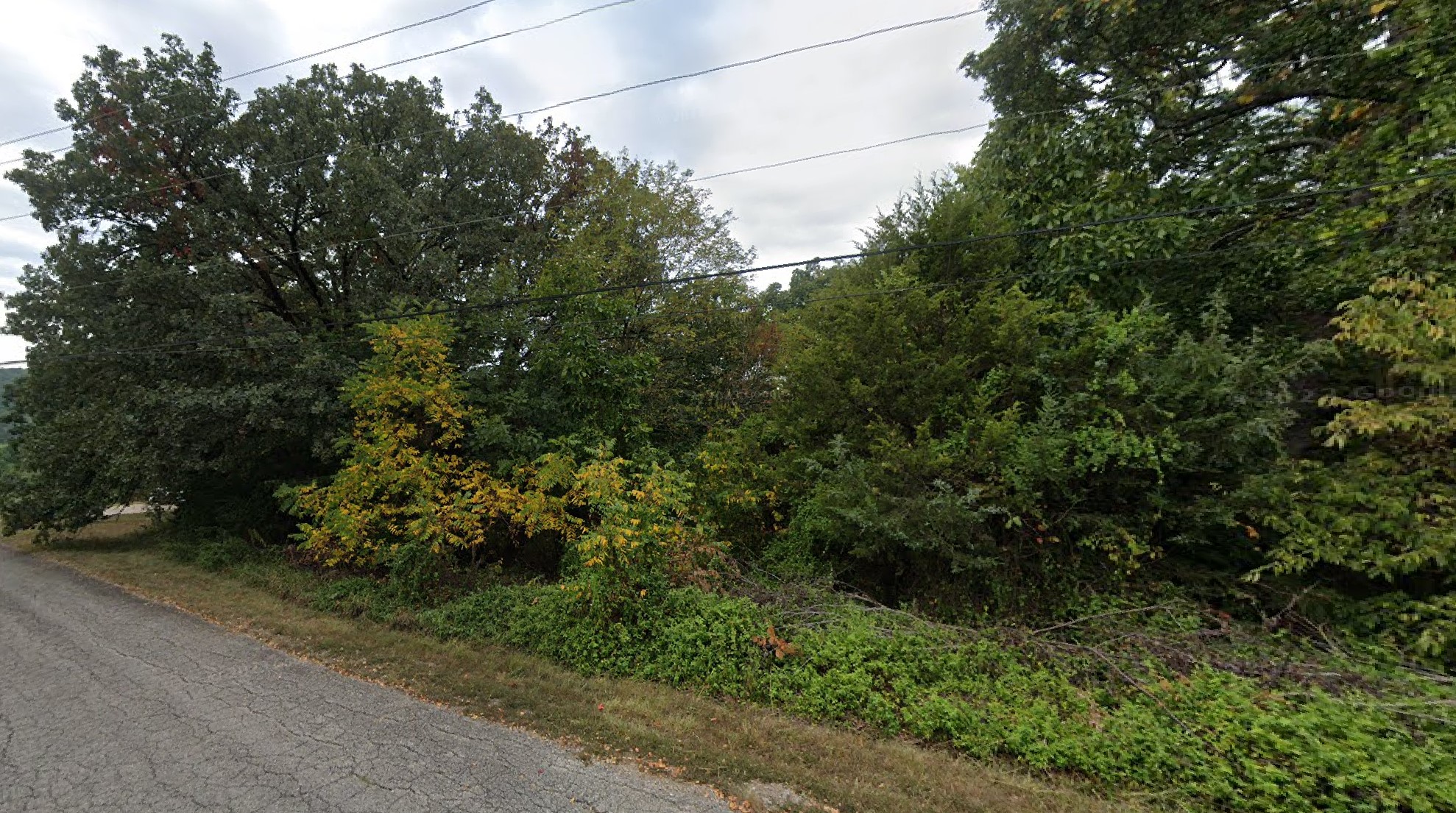 1.44 Acres, Callaway County MO, Parcel 27-01.0-02.0-30-002-005.023 1.44 Acres, Callaway, Missouri 27-01.0-02.0-30-002-005.023 - Image 2