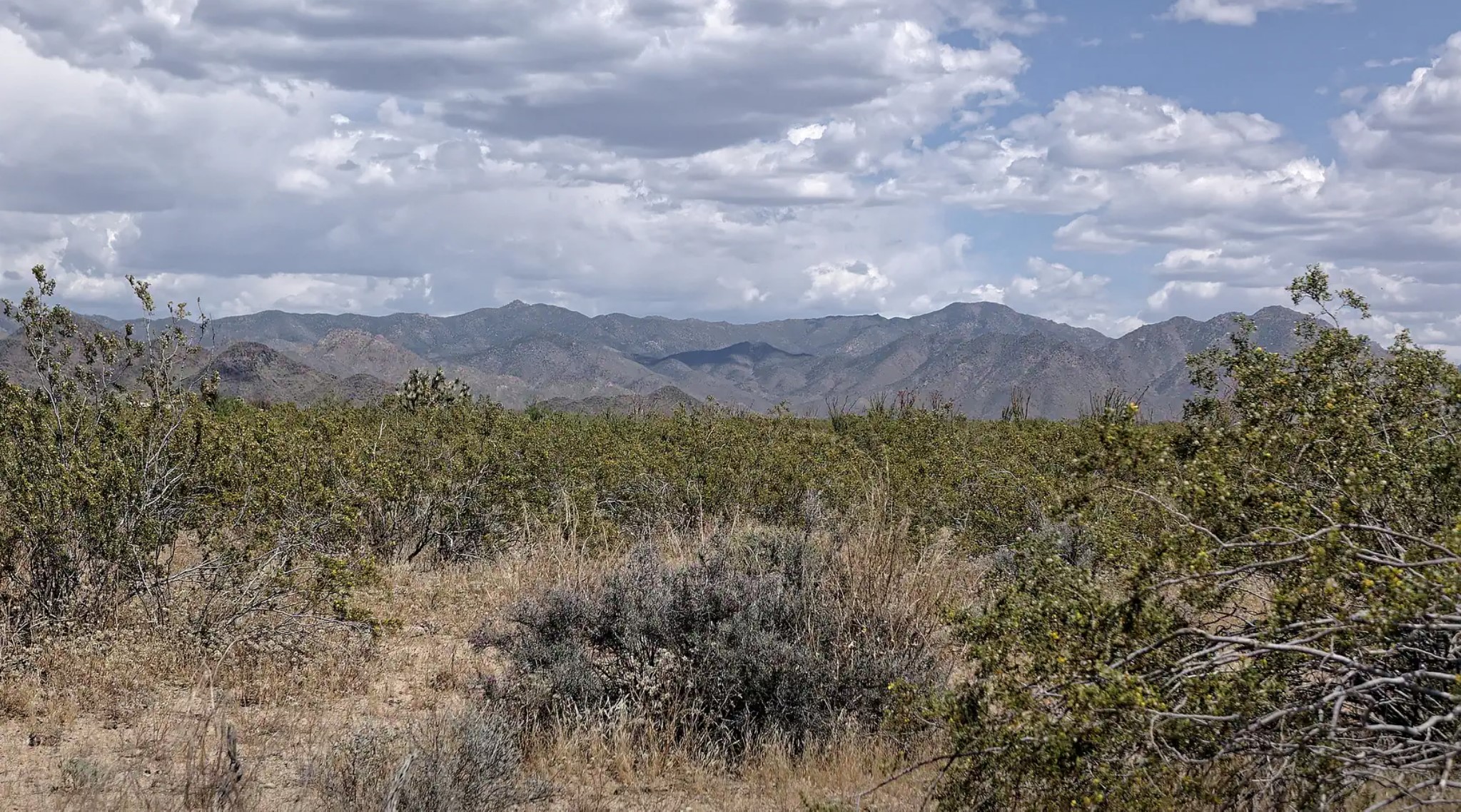 9.11 Acres, Mohave County AZ, Parcel 201-06-049 9.11 Acres, Mohave, Arizona 201-06-049 - Image 5
