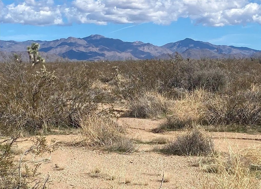 9.11 Acres, Mohave County AZ, Parcel 201-06-049 9.11 Acres, Mohave, Arizona 201-06-049 - Image 7