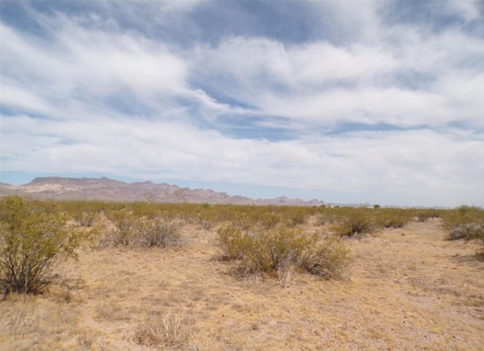 9.93 Acres, Mohave County AZ, Parcel 339-27-025 9.93 Acres, Mohave, Arizona 339-27-025 - Image 8