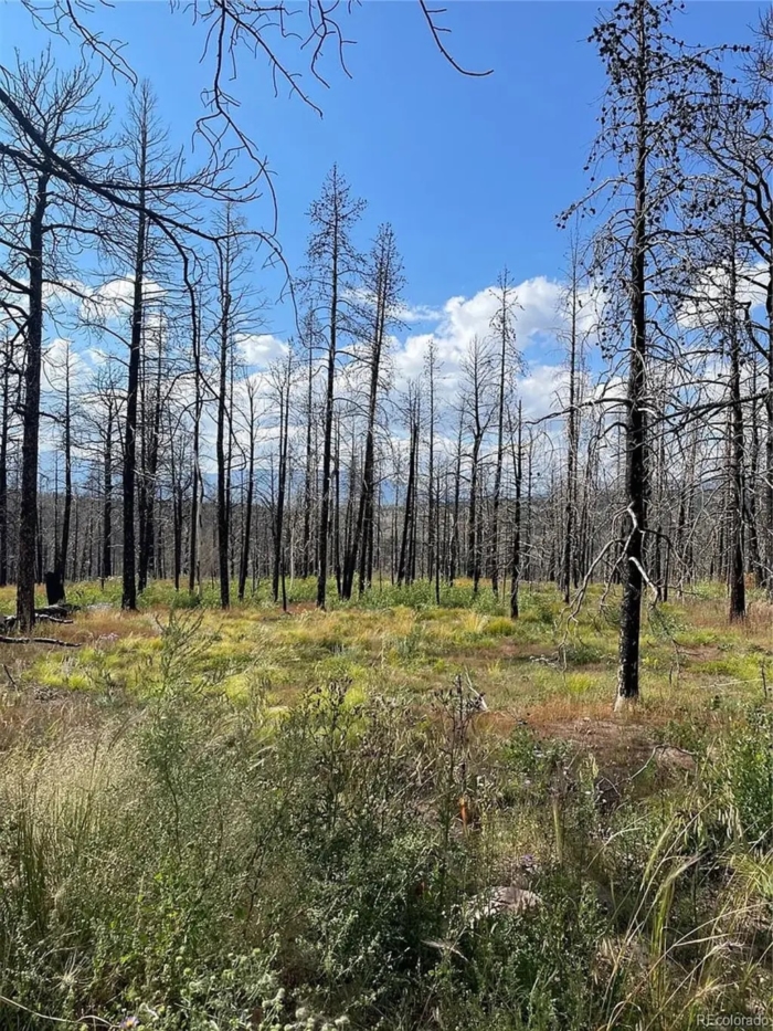 2.29 Acres, Costilla County CO, Parcel 70106430