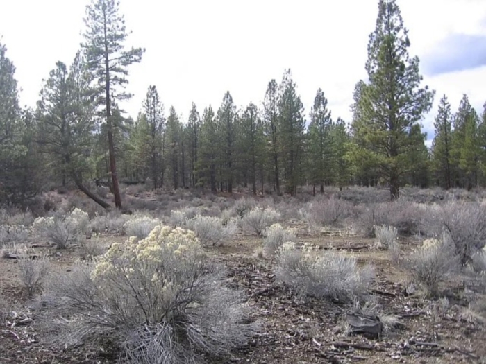 2.37 Acres, Klamath County OR, Parcel R262441 - Image 8