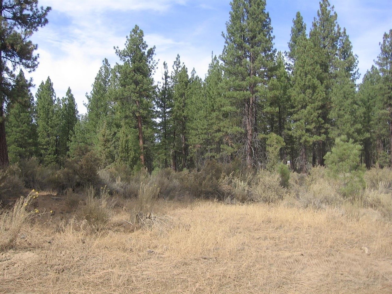 2.93 Acres Klamath County OR, Parcel R263574 - Image 8