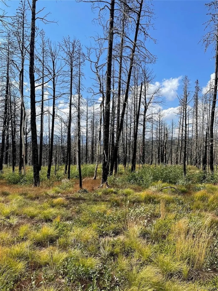2.29 Acres, Costilla County CO, Parcel 70106430 - Image 2