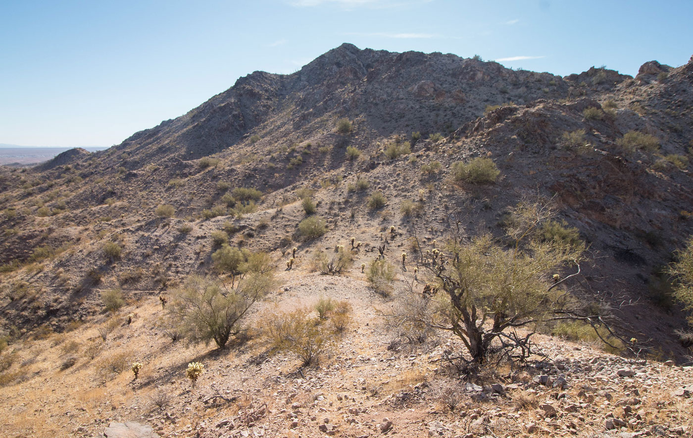 Spacious Desert Lot 10 Acres, Mohave, Arizona 102-69-015 - Image 2