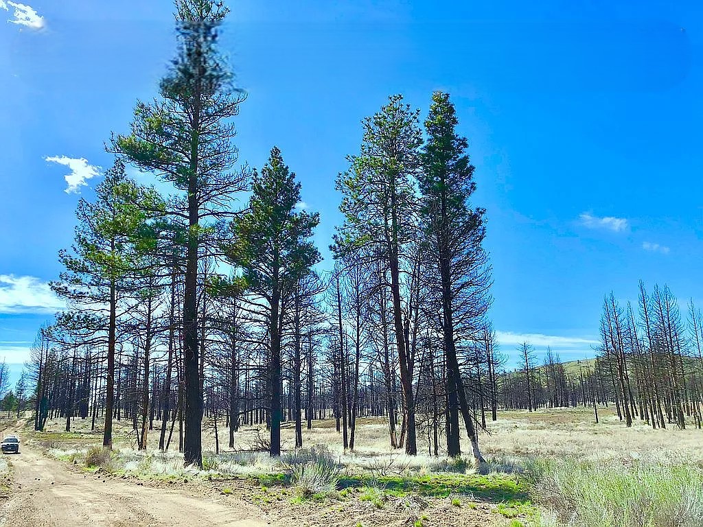 2.34 Acres, Klamath County OR, Parcel R265126 2.34 Acres, Klamath, Oregon Account 265126 / Map and Taxlot 3510-023A0-06000 - Image 2