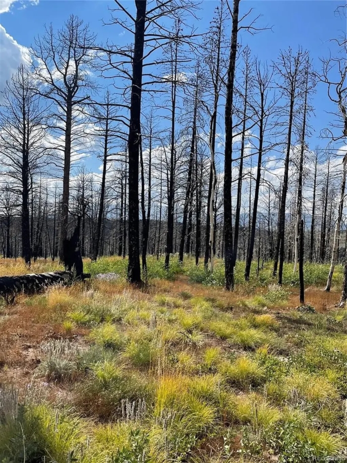 2.29 Acres, Costilla County CO, Parcel 70106430 - Image 3