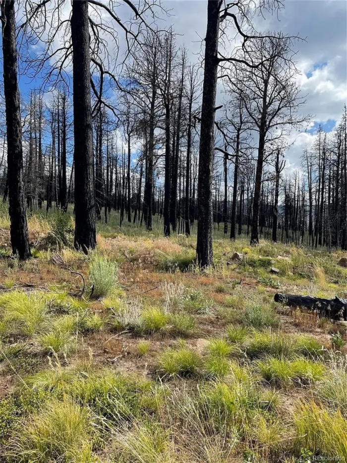 2.29 Acres, Costilla County CO, Parcel 70106430 - Image 4