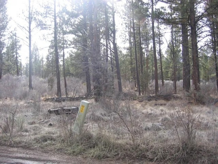 2.37 Acres, Klamath County OR, Parcel R262441 - Image 5