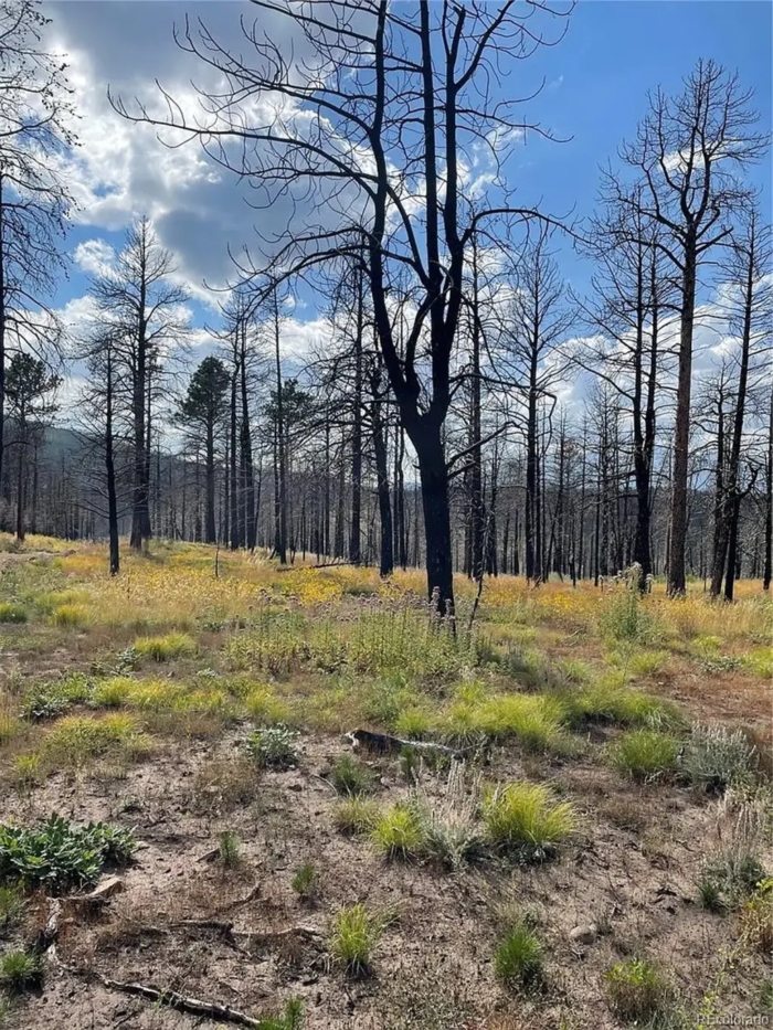 2.29 Acres, Costilla County CO, Parcel 70106430 - Image 5