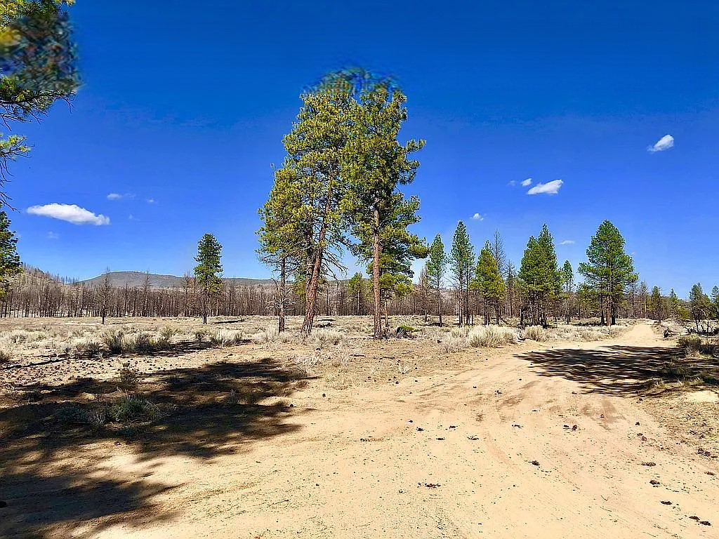 2.34 Acres, Klamath County OR, Parcel R265126 2.34 Acres, Klamath, Oregon Account 265126 / Map and Taxlot 3510-023A0-06000 - Image 5