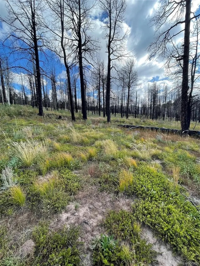 2.29 Acres, Costilla County CO, Parcel 70106430 - Image 6