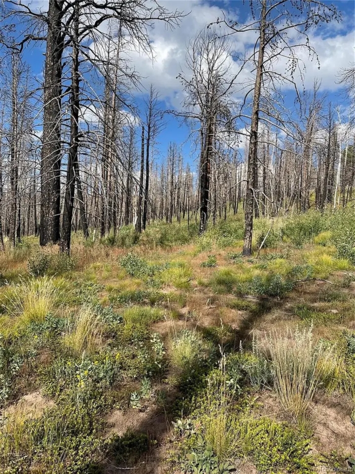 2.29 Acres, Costilla County CO, Parcel 70106430 - Image 7