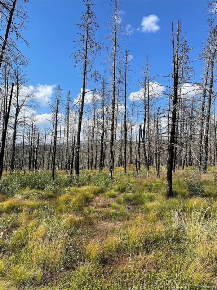 2.29 Acres, Costilla County CO, Parcel 70106430 - Image 8