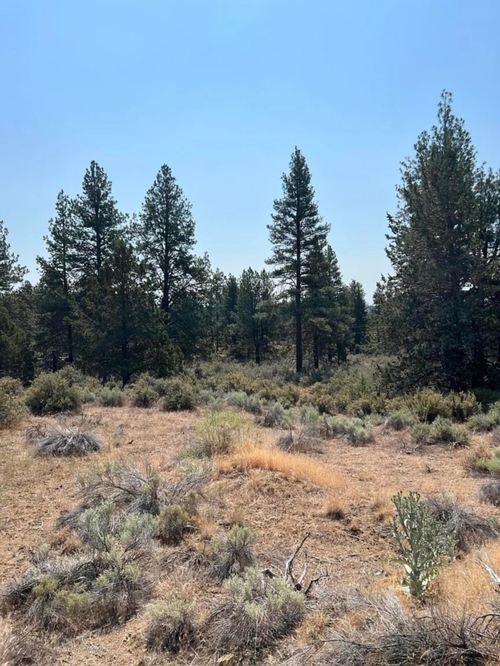 2.37 Acres, Klamath County OR, Parcel R262441