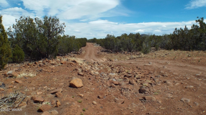 5.0 Acres, Navajo County AZ, Parcel 404-43-006