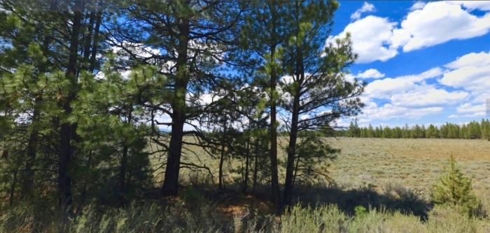 9.86 Acres, Klamath County OR, Parcel R181323 9.86 Acres, Klamath, Oregon Account 181323 / Map and Taxlot 3313-03100-02100 - Image 3