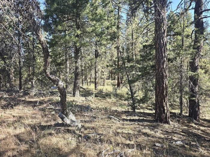 2.68 Acres, Bonanza Oregon, Parcel 01000