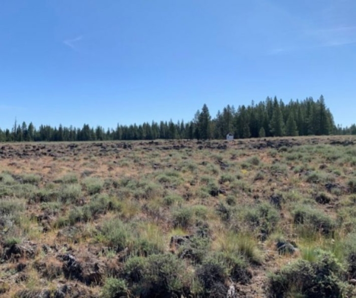 9.86 Acres, Klamath County OR, Parcel R181323 9.86 Acres, Klamath, Oregon Account 181323 / Map and Taxlot 3313-03100-02100 - Image 5