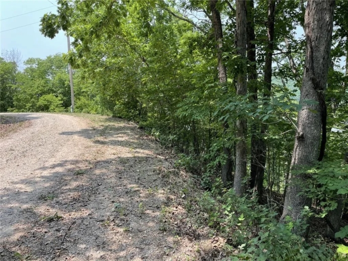 3.54 Acres, Benton County MO, Parcel 16-6.0-24-000-001-058.000 - Image 2