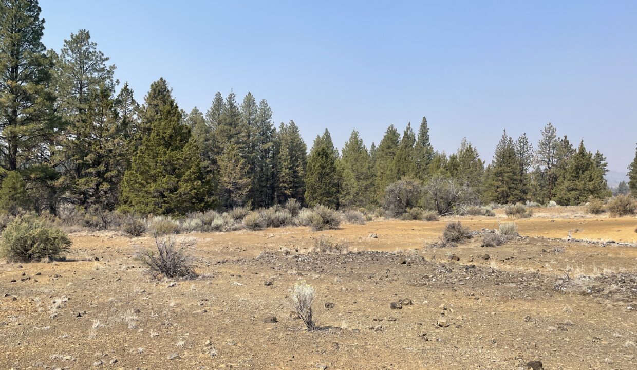 2.36 Acres, Klamath County OR, Parcel R267428 - Image 2