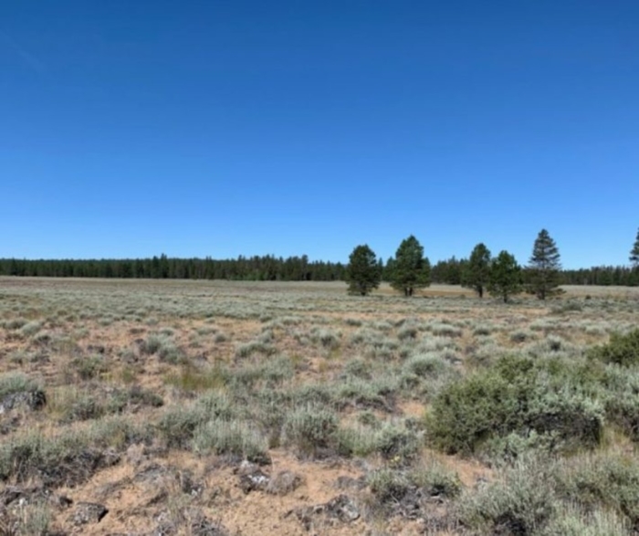 9.86 Acres, Klamath County OR, Parcel R181323 9.86 Acres, Klamath, Oregon Account 181323 / Map and Taxlot 3313-03100-02100 - Image 2
