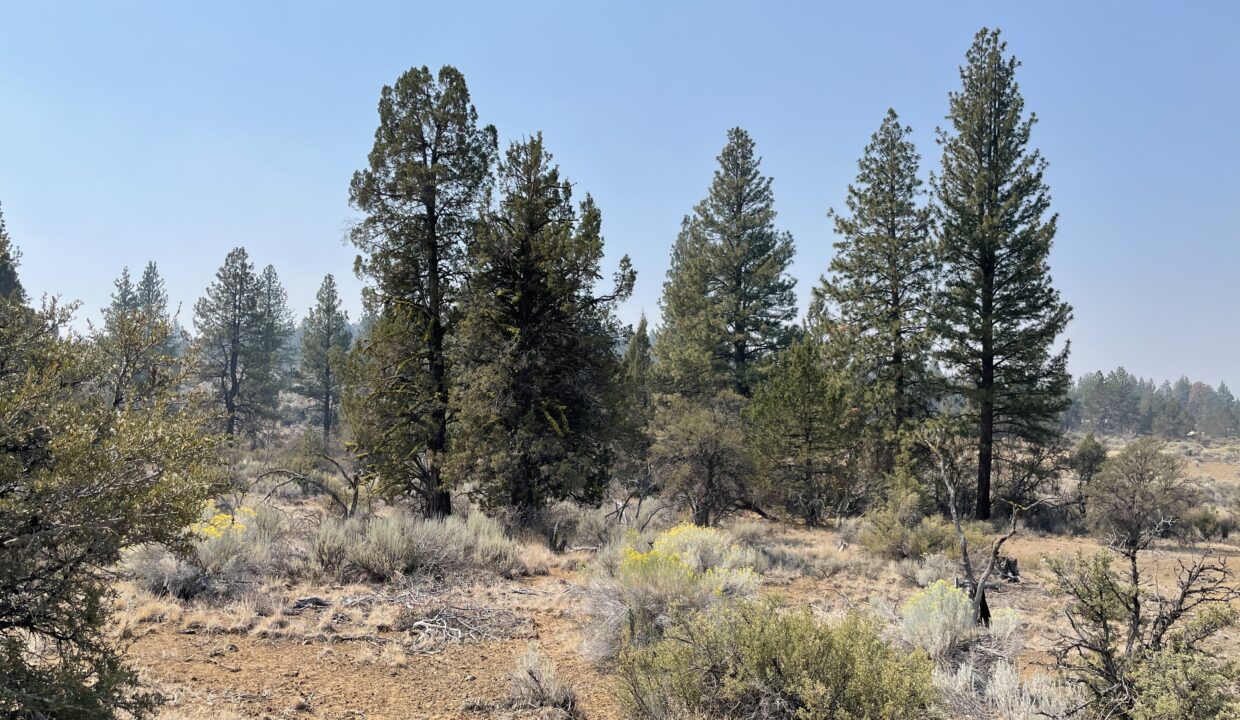 2.36 Acres, Klamath County OR, Parcel R267428 - Image 3