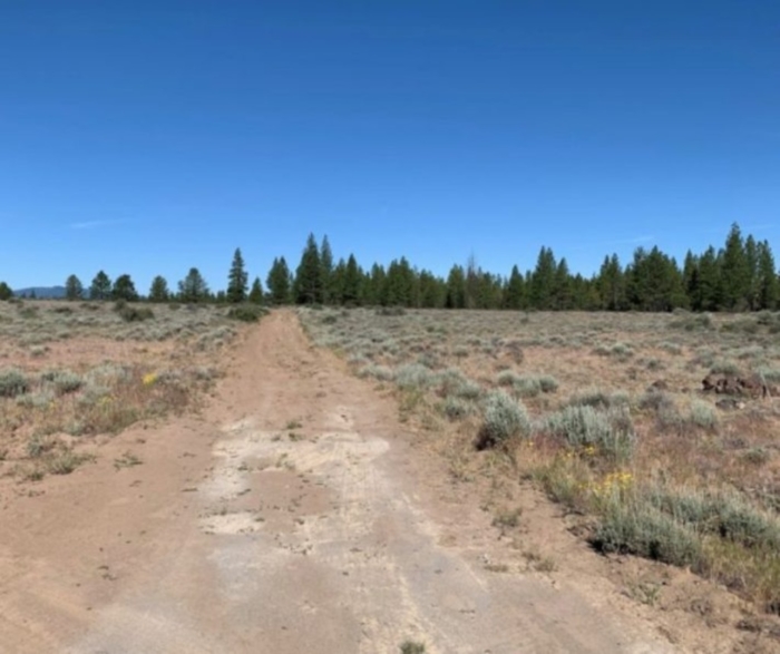 9.86 Acres, Klamath County OR, Parcel R181323 9.86 Acres, Klamath, Oregon Account 181323 / Map and Taxlot 3313-03100-02100 - Image 6