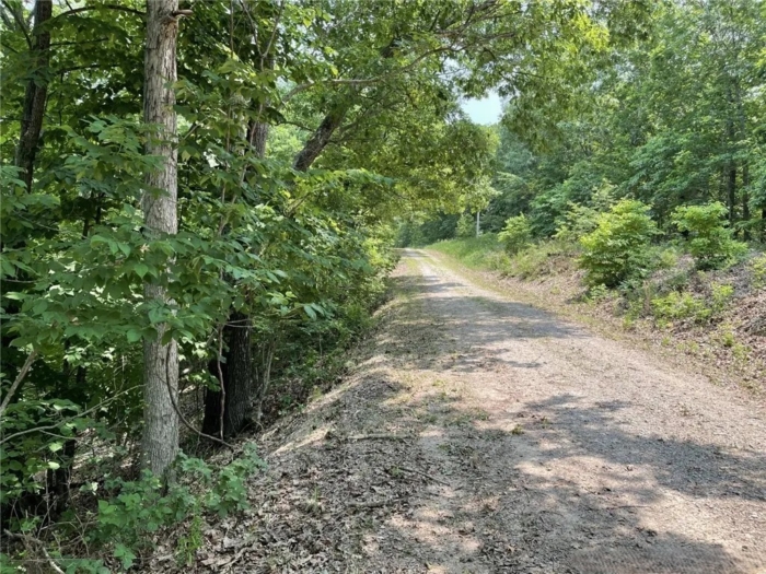 3.54 Acres, Benton County MO, Parcel 16-6.0-24-000-001-058.000 - Image 5