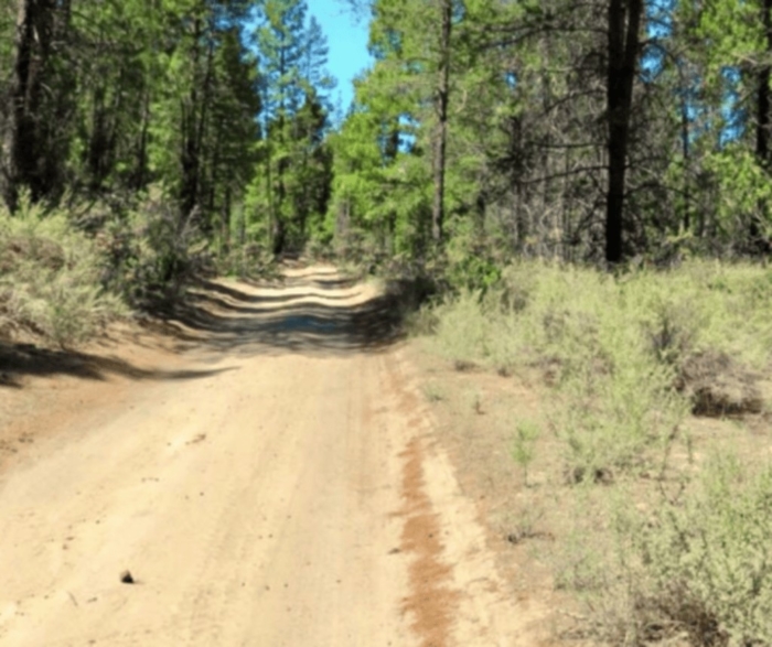 9.86 Acres, Klamath County OR, Parcel R181323 9.86 Acres, Klamath, Oregon Account 181323 / Map and Taxlot 3313-03100-02100 - Image 9