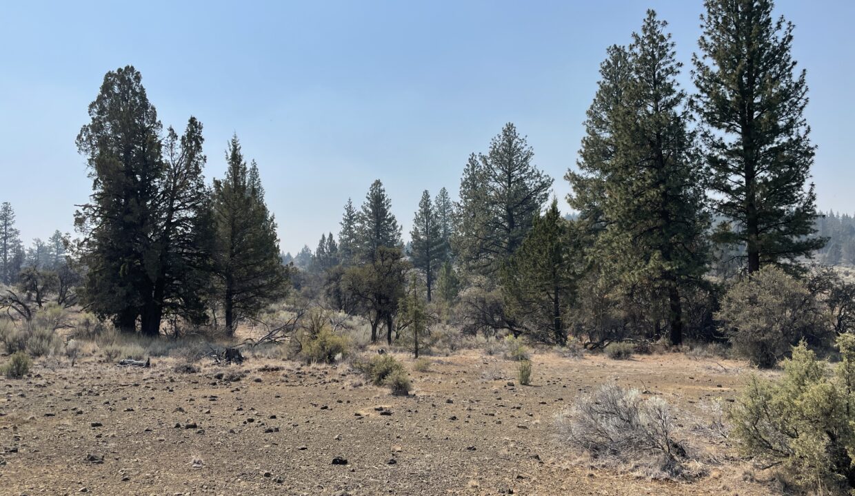 2.36 Acres, Klamath County OR, Parcel R267428 - Image 6