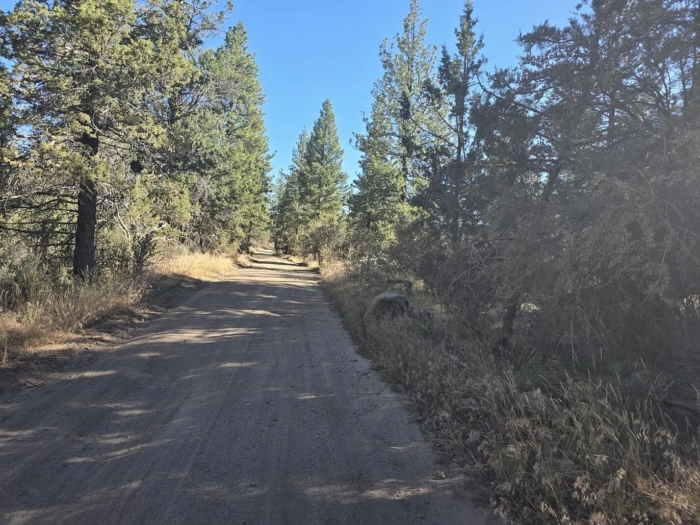2.68 Acres, Bonanza Oregon, Parcel 01000 - Image 7