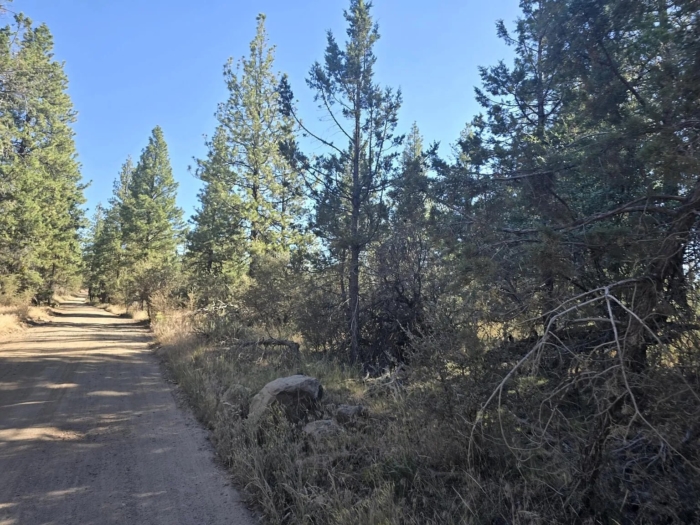 2.68 Acres, Bonanza Oregon, Parcel 01000 - Image 8