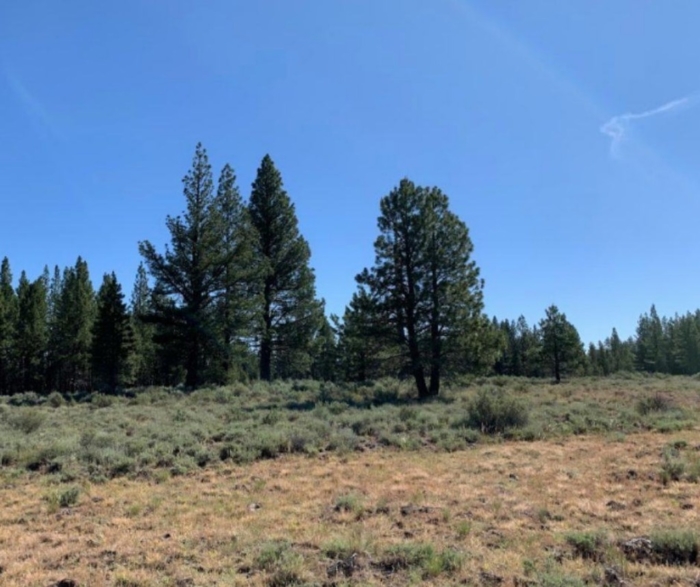 9.86 Acres, Klamath County OR, Parcel R181323 9.86 Acres, Klamath, Oregon Account 181323 / Map and Taxlot 3313-03100-02100 - Image 4