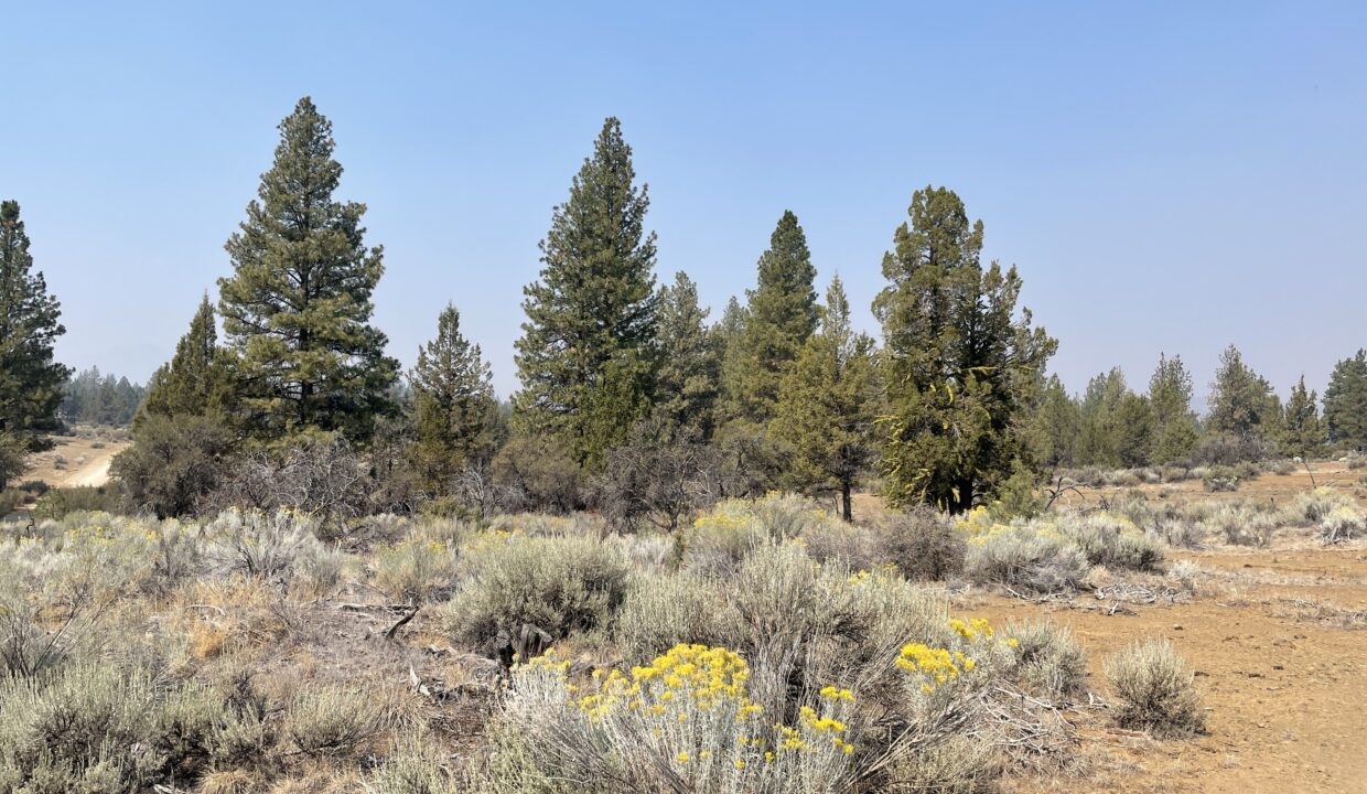 2.36 Acres, Klamath County OR, Parcel R267428 - Image 9