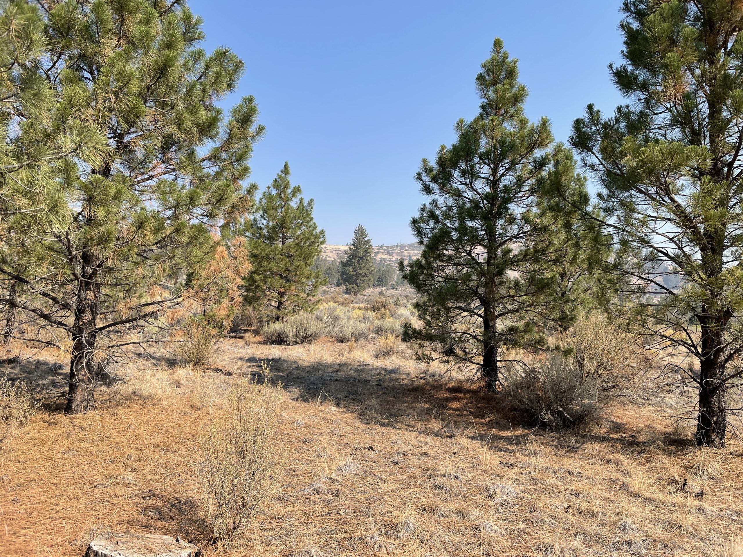 2.38 Acres, Klamath County OR, Parcel R263208 2.38 Acres, Klamath, Oregon Account 263208 / Map and Taxlot 3510-022D0-02100 - Image 7