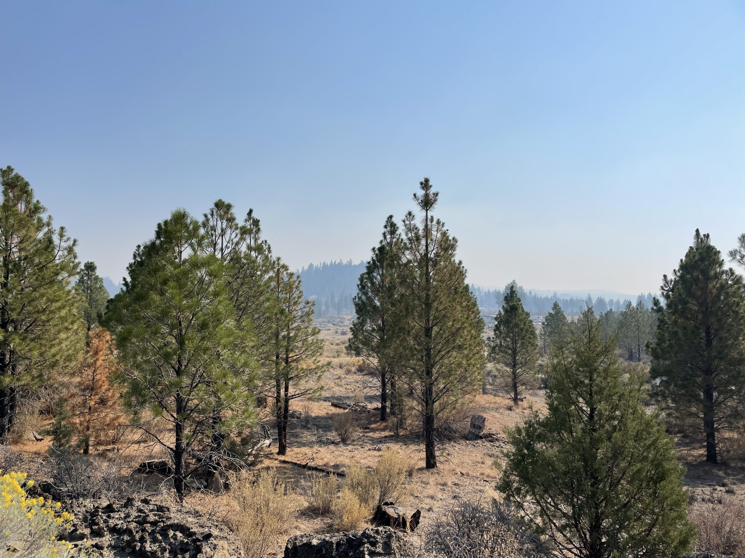 2.38 Acres, Klamath County OR, Parcel R263208 2.38 Acres, Klamath, Oregon Account 263208 / Map and Taxlot 3510-022D0-02100 - Image 5