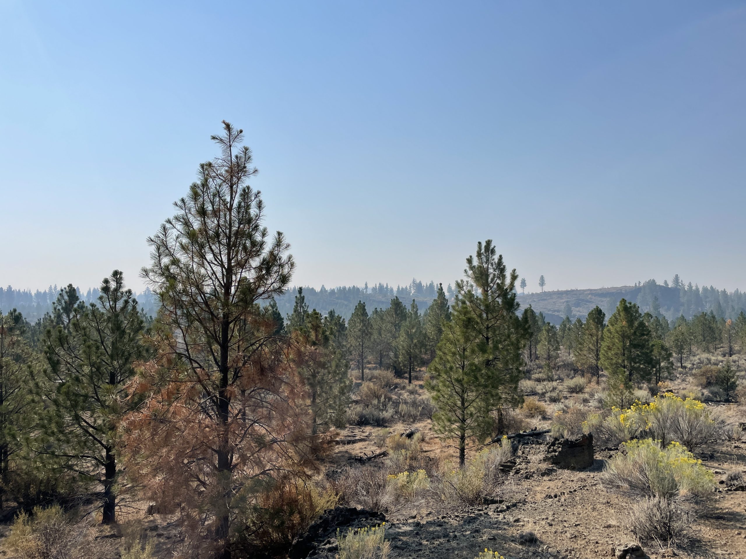 2.38 Acres, Klamath County OR, Parcel R263208 2.38 Acres, Klamath, Oregon Account 263208 / Map and Taxlot 3510-022D0-02100 - Image 3