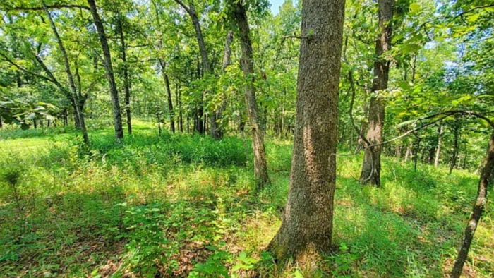 2.33 Acres, Benton County MO, Peaceful Lot Near Lake of the Ozarks, Parcel 15-7.1-26-000-002-031.000 2.33 Acres, Benton, Missouri 15-7.1-26-000-002-031.000 - Image 23