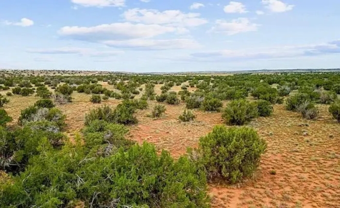 40.83 Acres, Apache County AZ, Parcel 205-78-107