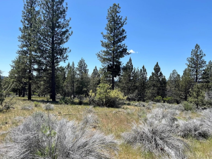 3.86 Acres, Klamath County OR, Parcel R473357 3.86 Acres, Klamath, Oregon Account 473357 / Map and Taxlot 3811-021A0-00500