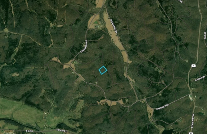 3.030 Acres, Benton County MO, Tranquil Living Close to Lake of the Ozarks, Parcel 15-5.0-22-000-003-037.000 - Image 34