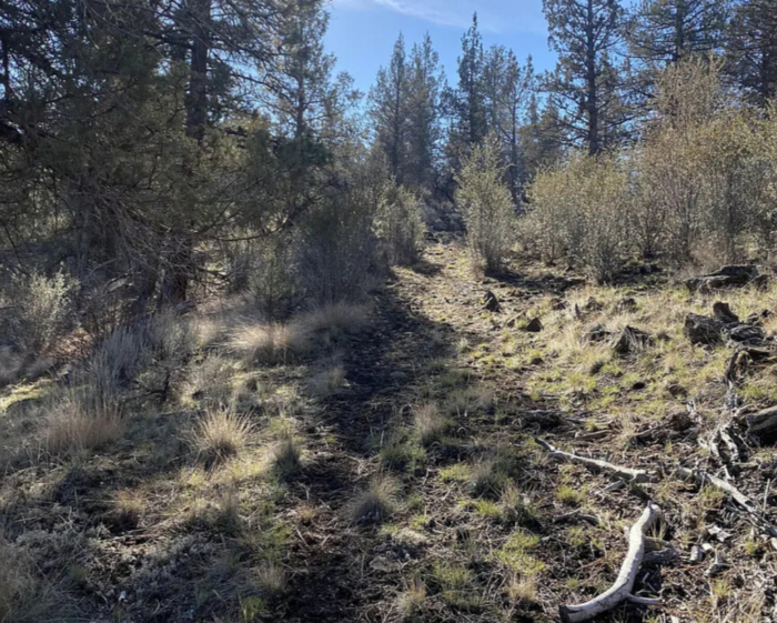 2.3 Acres, Klamath County OR, Parcel R472857 2.3 Acres, Klamath, Oregon Account 472857 / Map and Taxlot 3811-017A0-02500