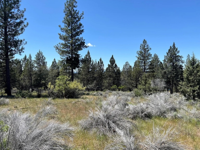 3.86 Acres, Klamath County OR, Parcel R473357 3.86 Acres, Klamath, Oregon Account 473357 / Map and Taxlot 3811-021A0-00500 - Image 2