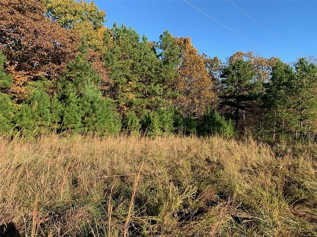 2 Acres, Delaware County OK, Parcel 210011530 2 Acres, Delaware, Oklahoma 210011530 - Image 2