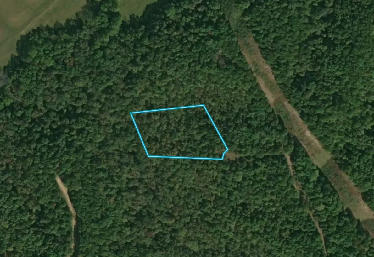 2 Acres, Delaware County OK, Parcel 210011530 2 Acres, Delaware, Oklahoma 210011530 - Image 9