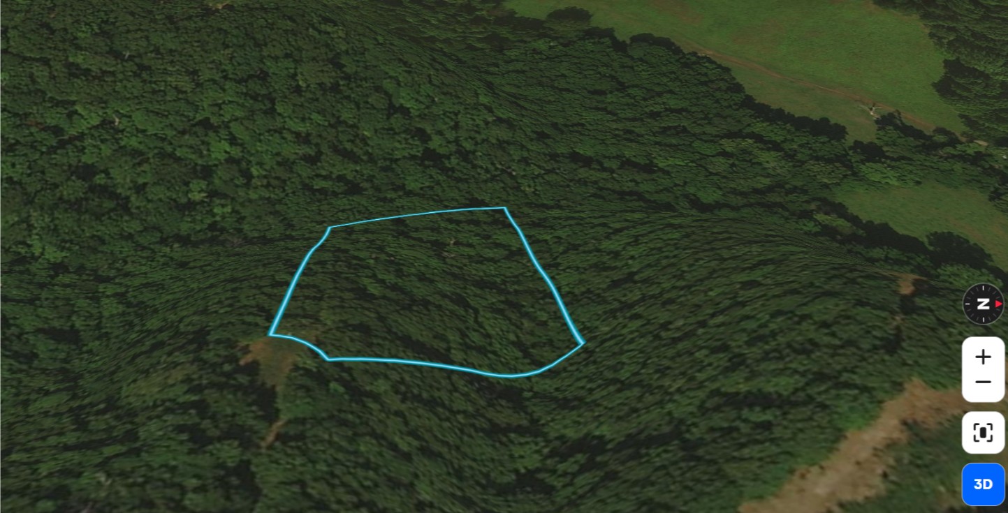 2 Acres, Delaware County OK, Parcel 210011530 2 Acres, Delaware, Oklahoma 210011530 - Image 13