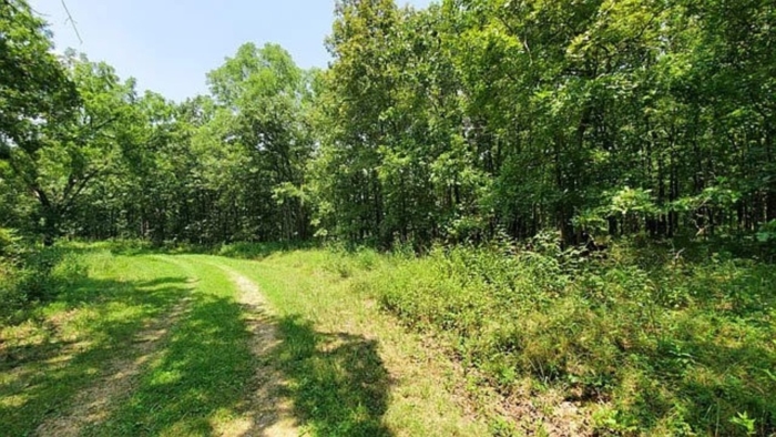 2.33 Acres, Benton County MO, Peaceful Lot Near Lake of the Ozarks, Parcel 15-7.1-26-000-002-031.000 2.33 Acres, Benton, Missouri 15-7.1-26-000-002-031.000 - Image 25