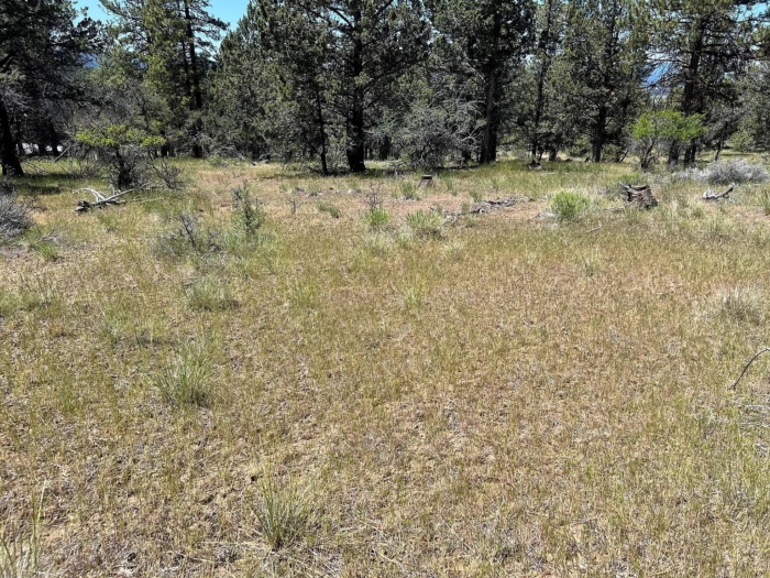3.86 Acres, Klamath County OR, Parcel R473357 3.86 Acres, Klamath, Oregon Account 473357 / Map and Taxlot 3811-021A0-00500 - Image 3
